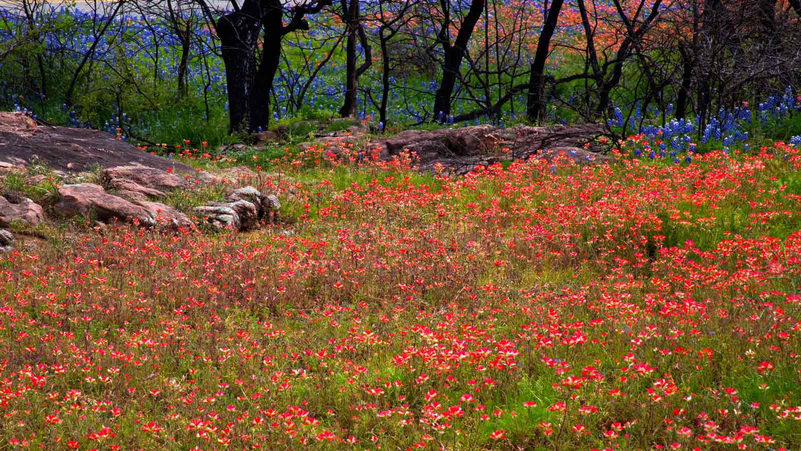 Inks Lake State Park