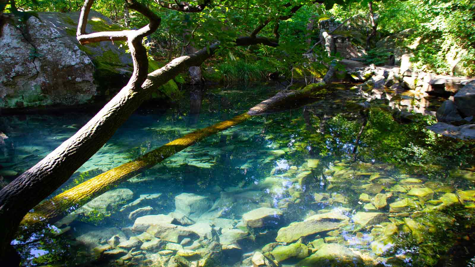 Krause Springs Texas