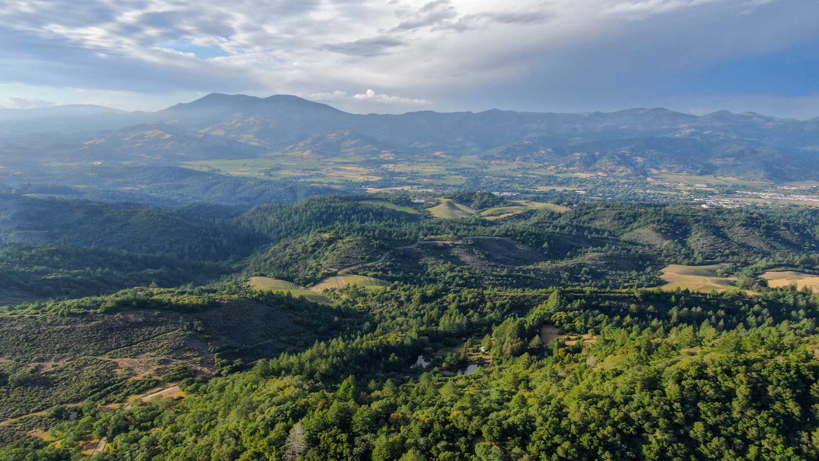 napa valley region